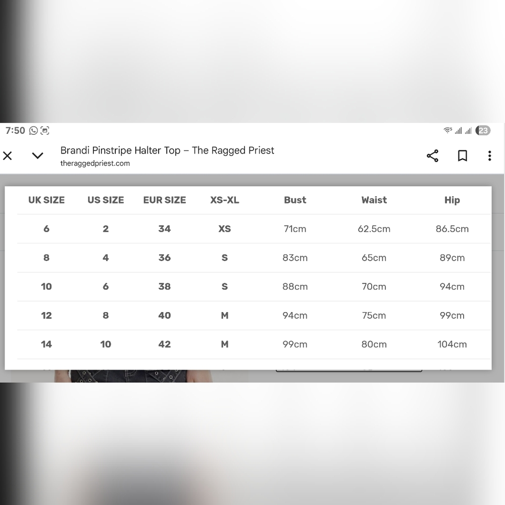 The Ragged Priest Burgundy Striped Crop Top - Picture 4 of 4